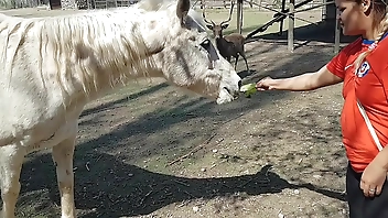 Fiquei toda molhada ao ver o tamanho do membro de um cavalo !!! Queria que meu namorado fosse assim !!! Paty Bumbum, El Toro De Oro