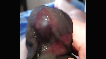 Notgeil im alten Feinstrumpf