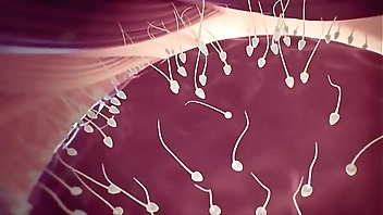 It's easy and quickly make a b.