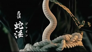 Female Ninjas – Magic Chronicles 9