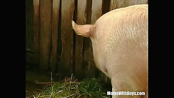 Brunette Lady Farmer Hairy Pussy Barn Fucked