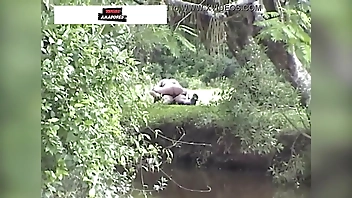 Casal da zona rural é flagrado fazendo sexo no mato